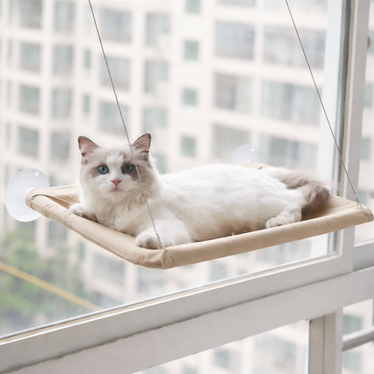 Window Hammock